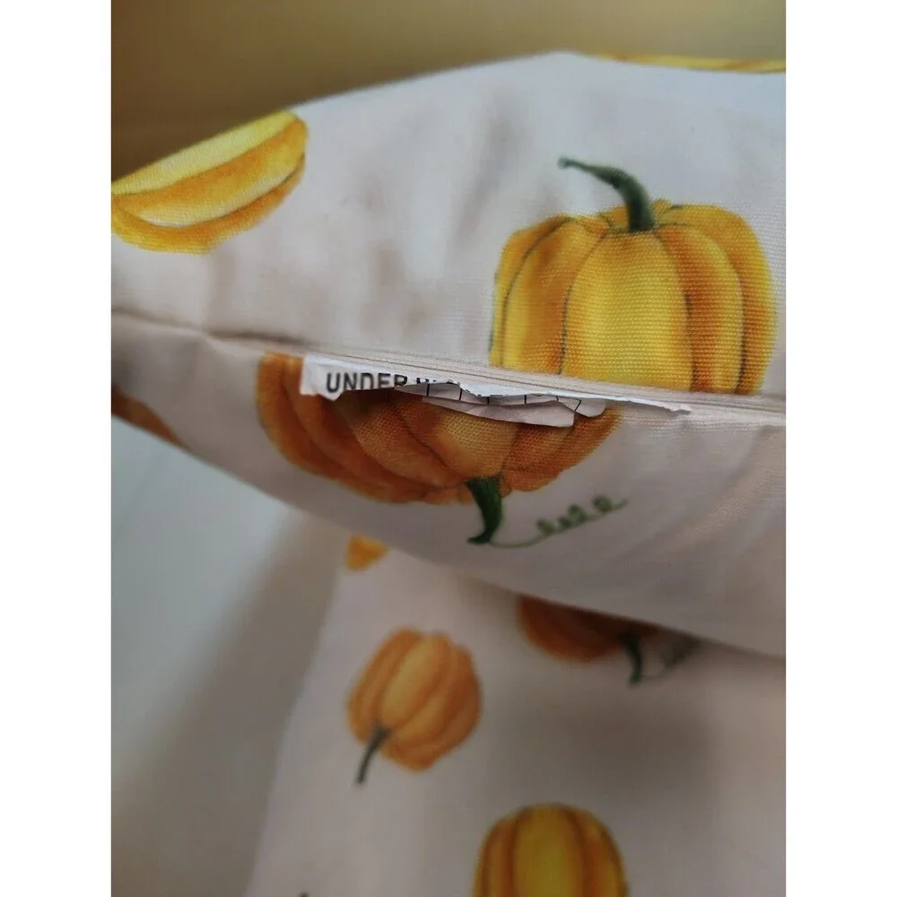 Rae Dunn Autumn Pumpkin Accent Pillows Feather Down Insert Removable Covers